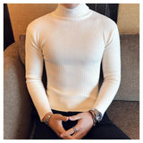 DaBaby Style Slim PREXZ Turtleneck-Turtelneck Sweater-LEGIBLE officia Store-WHITE THIN STRIPE-S-PLATINUM REXZ-PREXZ